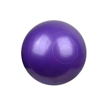PELOTA PARA GIMNASIO VINIBALL VINIGYM FITBALL SUIZA - foto 2